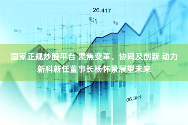 国家正规炒股平台 聚焦变革、协同及创新 动力新科新任董事长杨怀景展望未来