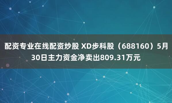 配资专业在线配资炒股 XD步科股（688160）5月30日主力资金净卖出809.31万元