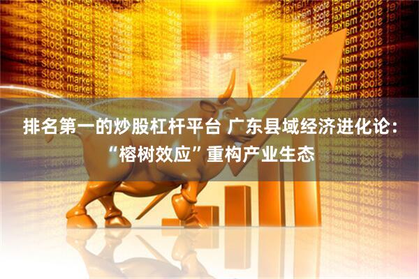 排名第一的炒股杠杆平台 广东县域经济进化论：“榕树效应”重构产业生态