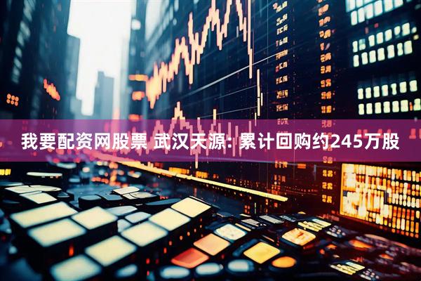 我要配资网股票 武汉天源: 累计回购约245万股