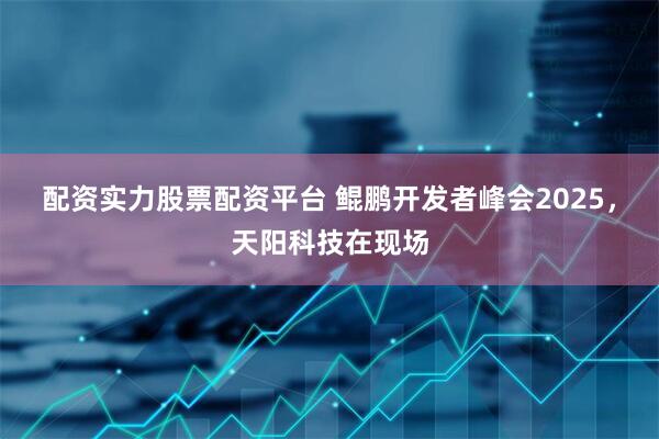配资实力股票配资平台 鲲鹏开发者峰会2025，天阳科技在现场